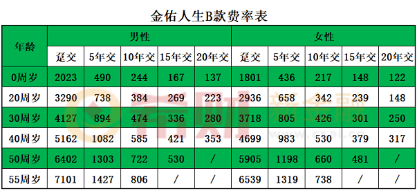 金佑人生B款保费价格表