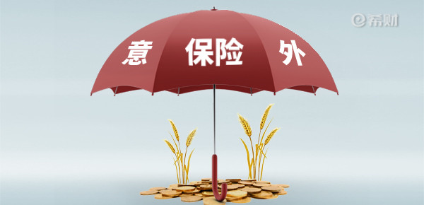 个人意外险多少钱一年